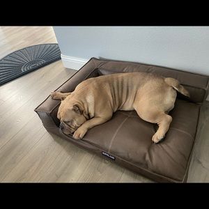 Meet your Posher, Jesus